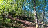 Tour Wandern Comblain-au-Pont - Comblain-au-Pont d´une rive à l´autre - Photo 20