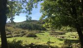 Trail Walking Camps-sur-l'Agly - Pech de Bugarach (départ de la Bastide - Camps-sur-l'Agly) - Photo 7