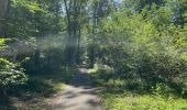 Tour Wandern Vieux-Moulin - en foret de Compiègne_38_07_2021_sur la Route Eugénie - Photo 16