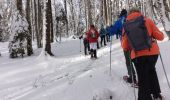 Trail Snowshoes La Pesse - la Pesse rando raquette neige  - Photo 11