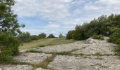 Trail Walking Saint-Julien - 83 Saint Julien le Montagnier - Photo 4