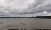 Excursión A pie Bay of Islands-Whangaroa Community - Te Araroa - 01 Northland - e Waitangi Bridge to Opua - Photo 9