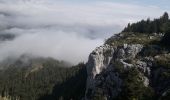 Randonnée Marche nordique Lans-en-Vercors - La Moucherotte - Photo 11