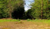 Tour Wandern Tracy-le-Mont - en forêt de Laigue_2_Le Petit Octogone et l'Octogonet - Photo 3