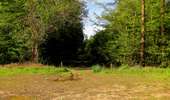 Randonnée Marche Tracy-le-Mont - en forêt de Laigue_2_Le Petit Octogone et l'Octogonet - Photo 3
