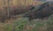 Percorso Marcia Watermael-Boitsfort - Watermaal-Bosvoorde - promenade matinale a boisfort - Photo 17