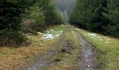 Trail Walking Trois-Ponts - wanne 280122 - Photo 6