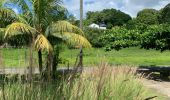 Tocht Stappen Sainte-Anne - Liard saint Robert  - Photo 1