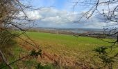 Excursión Senderismo Oissel - Rando Alain du 15 mars 2021 Oissel - Photo 4