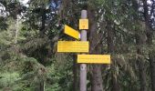 Trail Walking Pralognan-la-Vanoise - Pralognan - la crête du mont Charvet - Photo 8