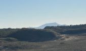 Tour Wandern Tarnos - Promenade sud côte Landaise  - Photo 5