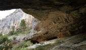 Tour Wandern Cheval-Blanc - 84 Gorges de Badarel et  Combe de Vidauque - Photo 2