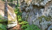 Percorso Marcia Fontainebleau - Fontainebleau sentier Denecourt 10 - Photo 4