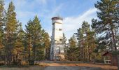 Tour Zu Fuß Viitasaari - Savivuoren luontopolku - Metsän tuulahdus - Photo 1