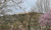 Excursión Senderismo Flassans-sur-Issole - Flassans sur issole - lac de redon - Photo 18