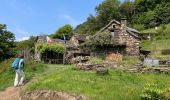 Tour Wandern Miazzina - 18.06.2023 - Miazzina - Le Lac Majeur et ses alpages - Photo 10