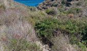 Trail Walking Port-Vendres - les Paulilles - Cap Bear via le sentier du littoral  / retour via collines et vignes  - Photo 8