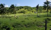 Tour Wandern Sainte-Anne - Cap Chevalier vers la pointe-Marin - Photo 5