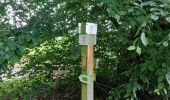 Trail Walking Ciney - Chevetogne 280622 - Photo 11