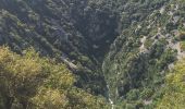 Percorso Marcia Mollans-sur-Ouvèze - Canyon du Toulourenc 19.5.24 - Photo 9