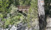 Excursión Senderismo Embrun - rando suf le mpny guillaume montée par le torrent de Marthe  descentr par la route forestière de bois de  Vezin   - Photo 20