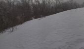 Percorso Racchette da neve Bouvante - 26 serre plume - Photo 2