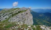 Excursión Senderismo La Chapelle-en-Vercors - la Sarna /Roche Rousse - Photo 8