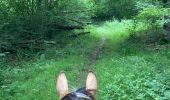 Trail Horseback riding Saint-Martin - Tivio domevre  - Photo 2