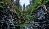 Randonnée Marche Autrans-Méaudre en Vercors - RA Vercors Bec Orient - Photo 4