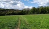 Trail Walking Marchin - Marchin 'Autour du Lileau' - Photo 4