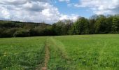 Tour Wandern Marchin - Marchin 'Autour du Lileau' - Photo 4