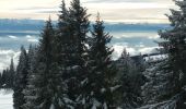 Randonnée Raquettes à neige Sainte-Croix - Col des Etroits Le Chasseron CAF - Photo 15