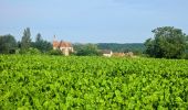 Excursión A pie Crouy-sur-Ourcq - Boucle 30 km Crouy / Ourcq - Gandelu - Montigny - Coulombs en Valois - Photo 10