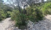 Trail Walking Gordes - Roundwalk from Hotel Les Bories with shortcut -With pictures, start/finish Sénanque - Photo 8