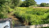 Tour Wandern Le Vast - Le long de la vallée de la Sairre - Photo 5