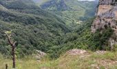 Tour Wandern Plateau d'Hauteville - cascade longcombe - Photo 1