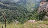 Trail Walking Plateau d'Hauteville - cascade longcombe - Photo 1