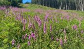 Trail Walking Marche-en-Famenne - Lignières - Photo 4