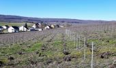 Randonnée Marche Barbonne-Fayel - dans le vignoble Champenois autour de BARBONNE-FAYEL - Photo 6