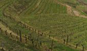 Randonnée Marche Clairvaux-d'Aveyron - Clairvaux les vignes  - Photo 16