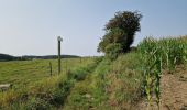 Trail Walking Genappe - en passant par le bois ballon et les vignes du château de Bousval. - Photo 6