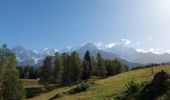 Tour Wandern Les Houches - 20231008 Les Houches Vaudagne Charousse - Photo 2