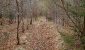 Tocht Stappen Libin - Marche ADEPS à  Libin. - Photo 8