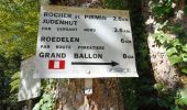 Tour Wandern Rimbach bei Gebweiler - Rimbach - Glashutte (10/08/2023) - Photo 1