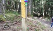 Tocht Stappen Autrans-Méaudre en Vercors - Le bois du Claret - Photo 6