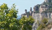 Tour Wandern Peyreleau - Boucle de l'Ermitage St Michel - Photo 1