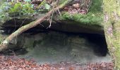 Trail Walking Moigny-sur-École - Au départ de Moigny Sur Ecole SG - Photo 1