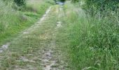 Trail Walking Coulommiers-la-Tour - Les Bois d'Huchigny, des Péseries et de Villemalin - Photo 5