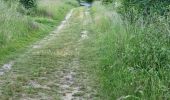 Tocht Stappen Coulommiers-la-Tour - Les Bois d'Huchigny, des Péseries et de Villemalin - Photo 5