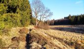 Trail Walking Büllingen - Rocher du Bieley   - Photo 3